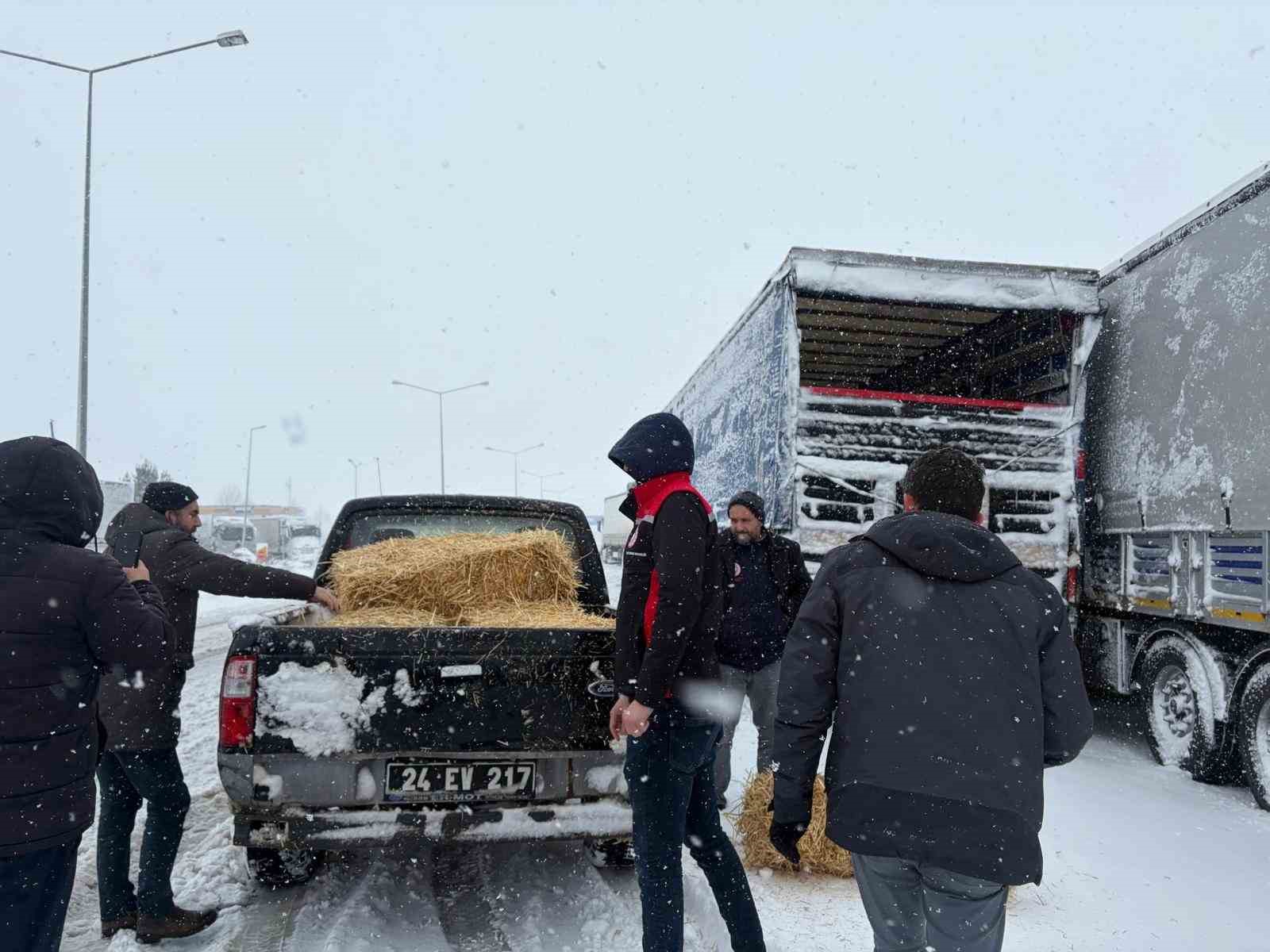 Erzincan&rsquo;da yolda kalan 200 b&uuml;y&uuml;kbaş hayvana yem takviyesi
