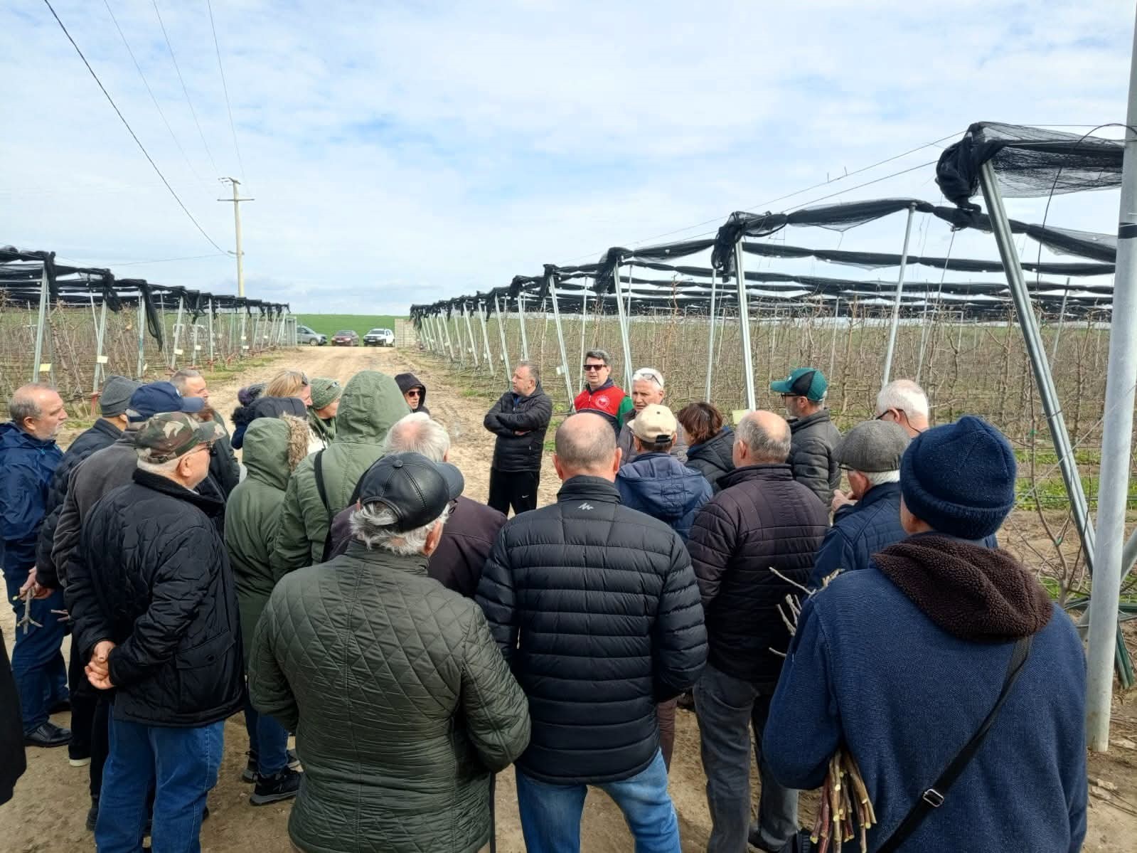 Lüleburgaz’da üreticilere uygulamalı budama eğitimi