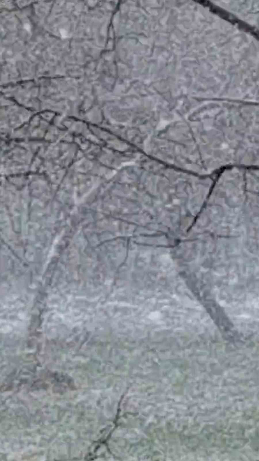 Mudurnu’da lapa lapa kar yağışı etkili oldu