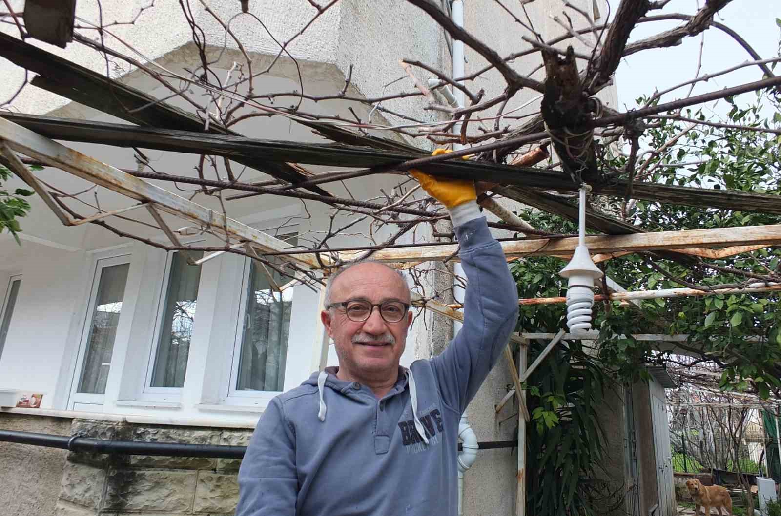 Burhaniye&rsquo;de asmalarda budama sezonu başladı
