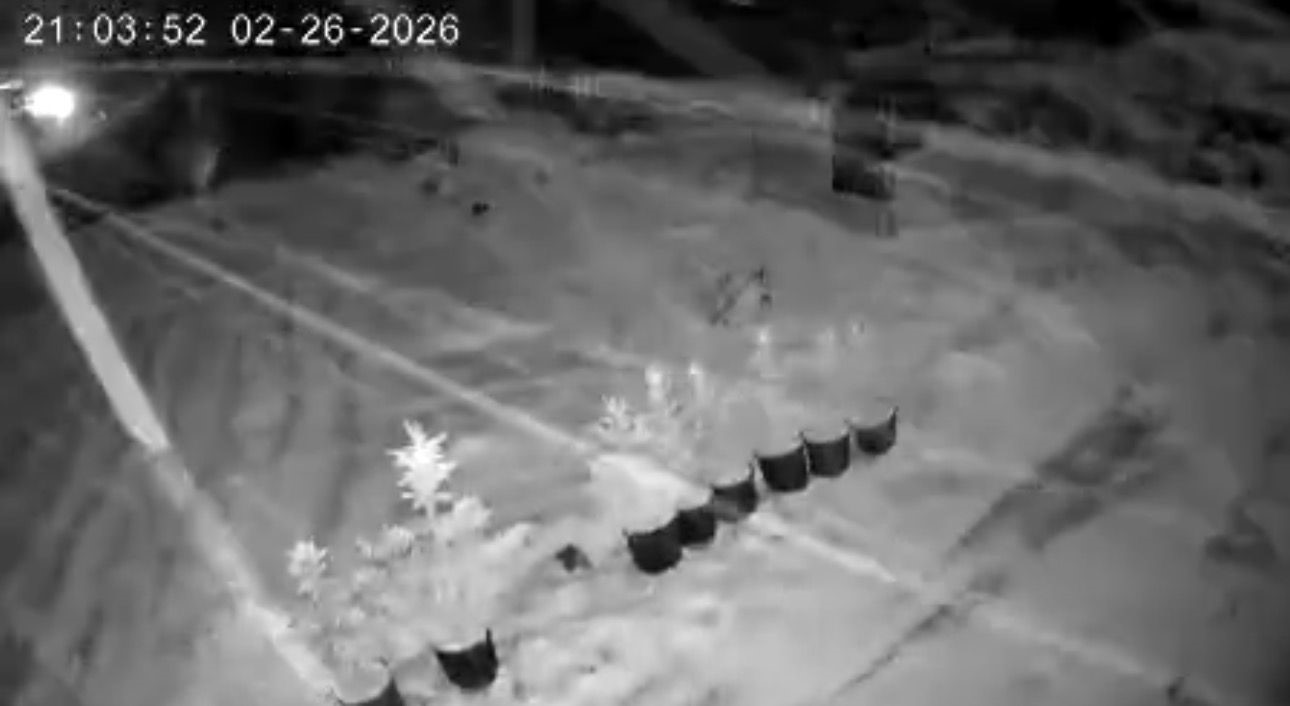 Çankırı’da kar yağışı etkili oluyor