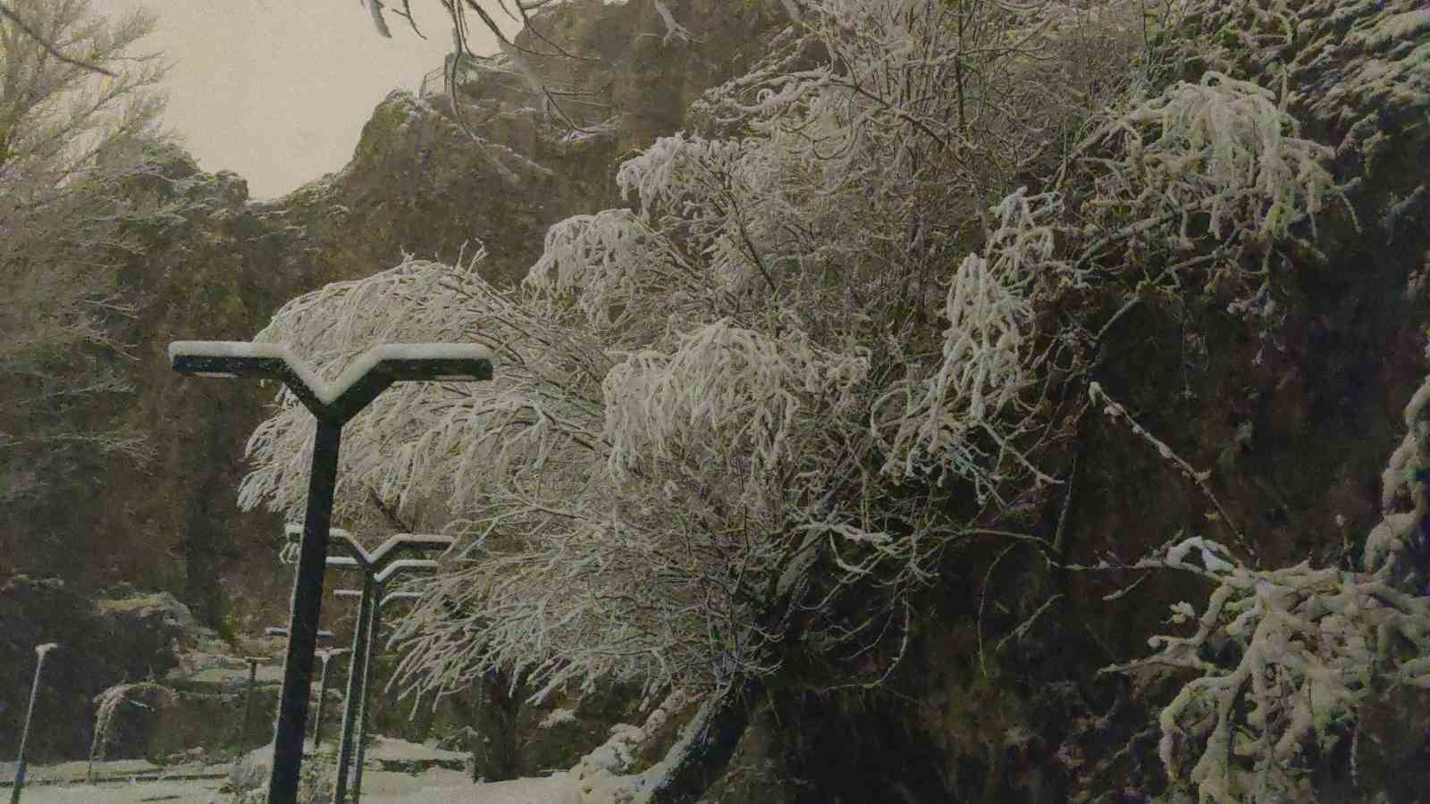 Van&rsquo;da gece yağan kar kartpostallık manzaralar oluşturdu
