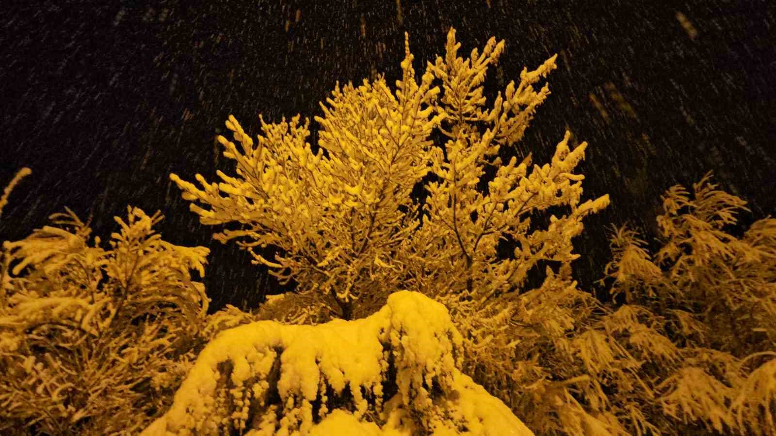 Adilcevaz’da kar yağışı beraberinde güzel görüntüler getirdi