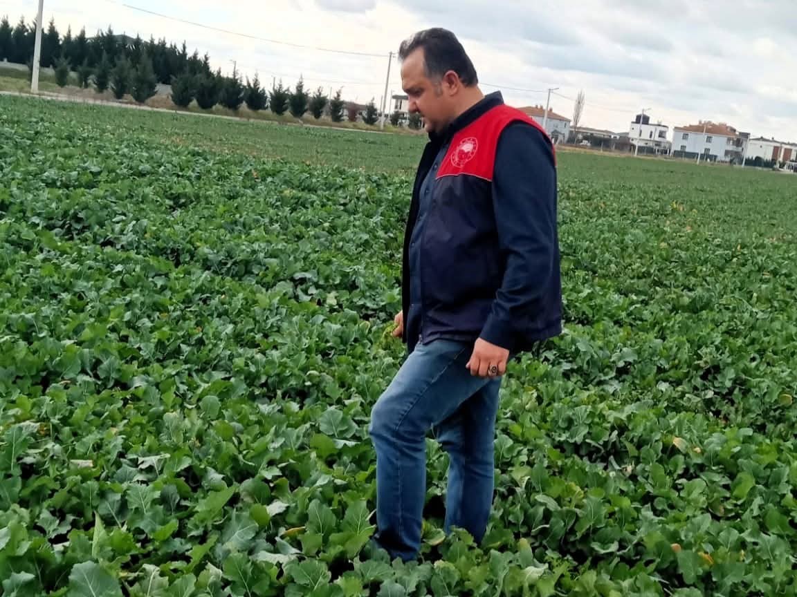 L&uuml;leburgaz&rsquo;da kanola ve buğday ekili alanlarda teknik kontroller yapıldı
