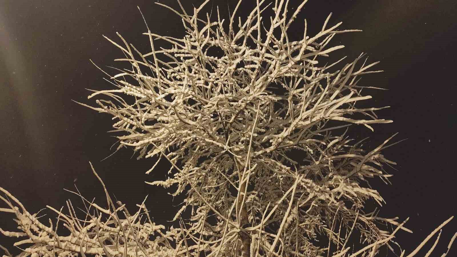 Erciş’te yoğun kar yağışı