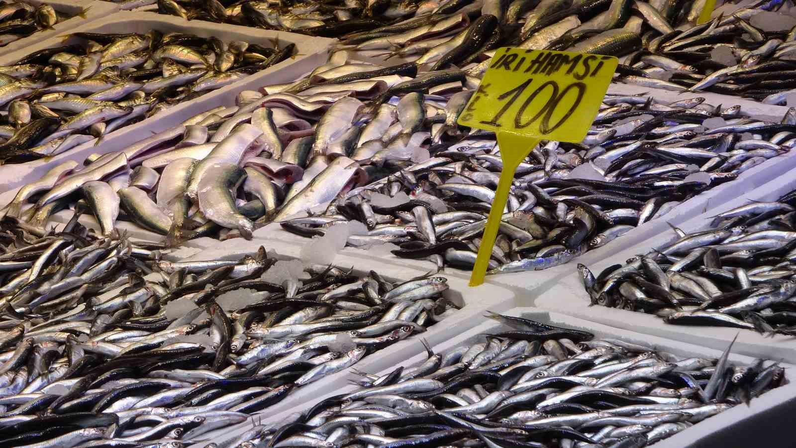 Son yılların en uzun hamsi sezonu yaşanıyor
