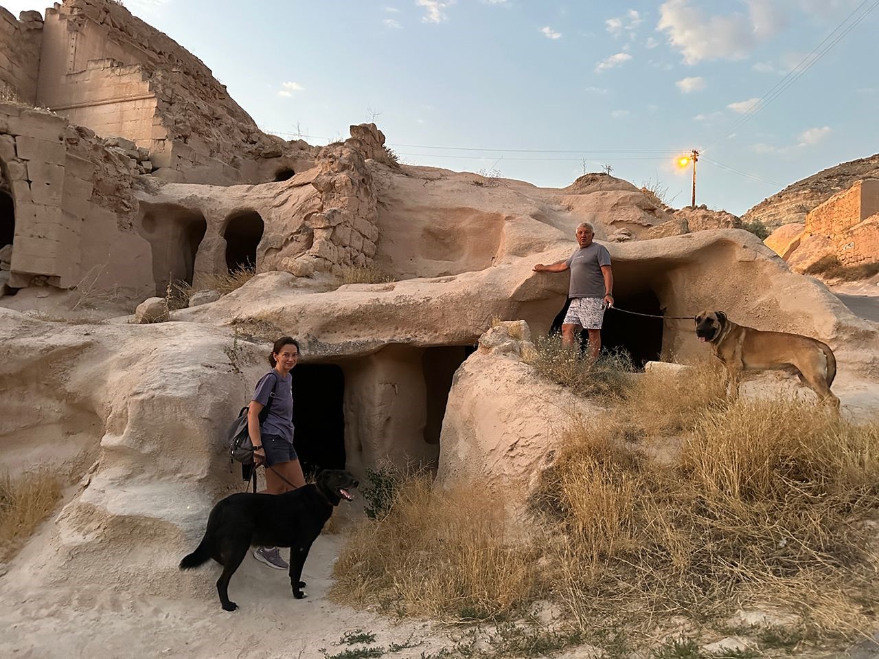 Rus sahipleri, kaybolan k&ouml;peklerini sokak sokak arıyor: Canlı bulana 100 bin, &ouml;l&uuml; bulana 10 bin &ouml;d&uuml;l
