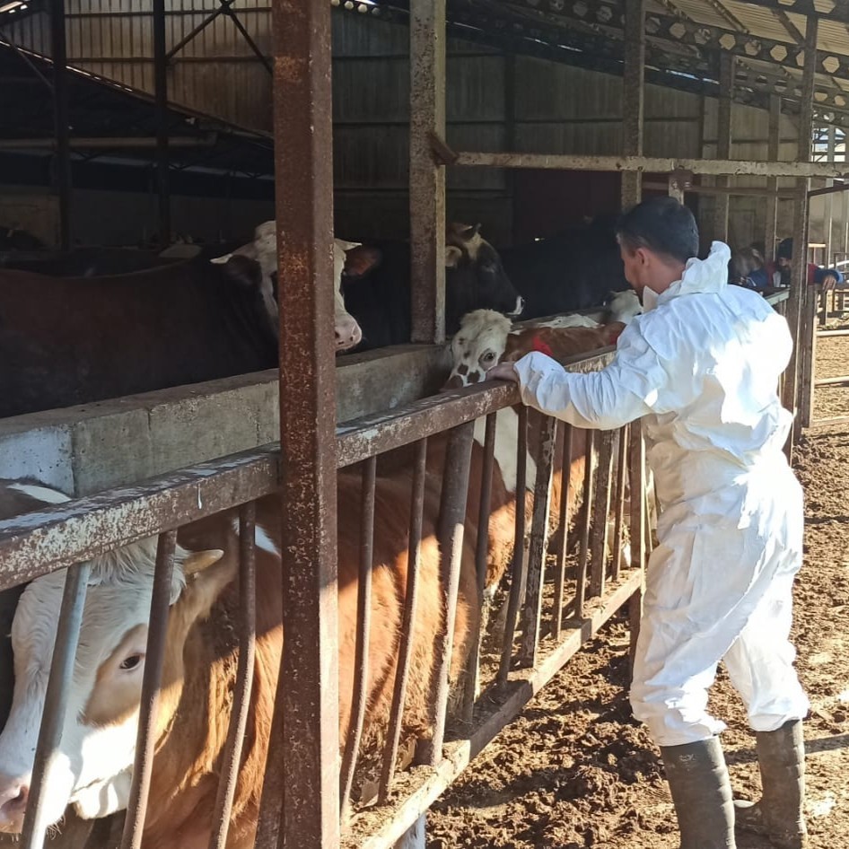 Hayvan sağlığı g&uuml;vence altına alınıyor
