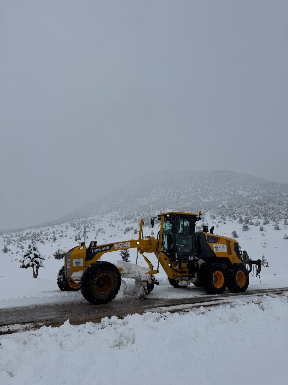 Kışın &ccedil;etin şartları doğada ş&ouml;len sundu
