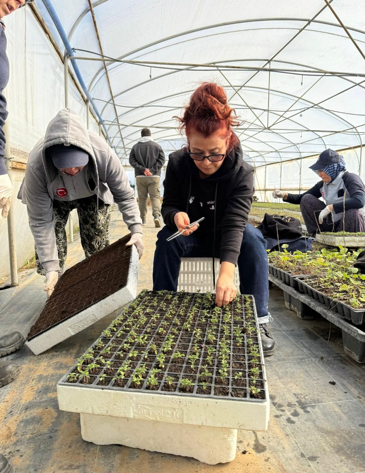 Zeytincilik &ouml;ğrencileri BA&Ccedil;EM&rsquo;de uygulamalı eğitim aldı
