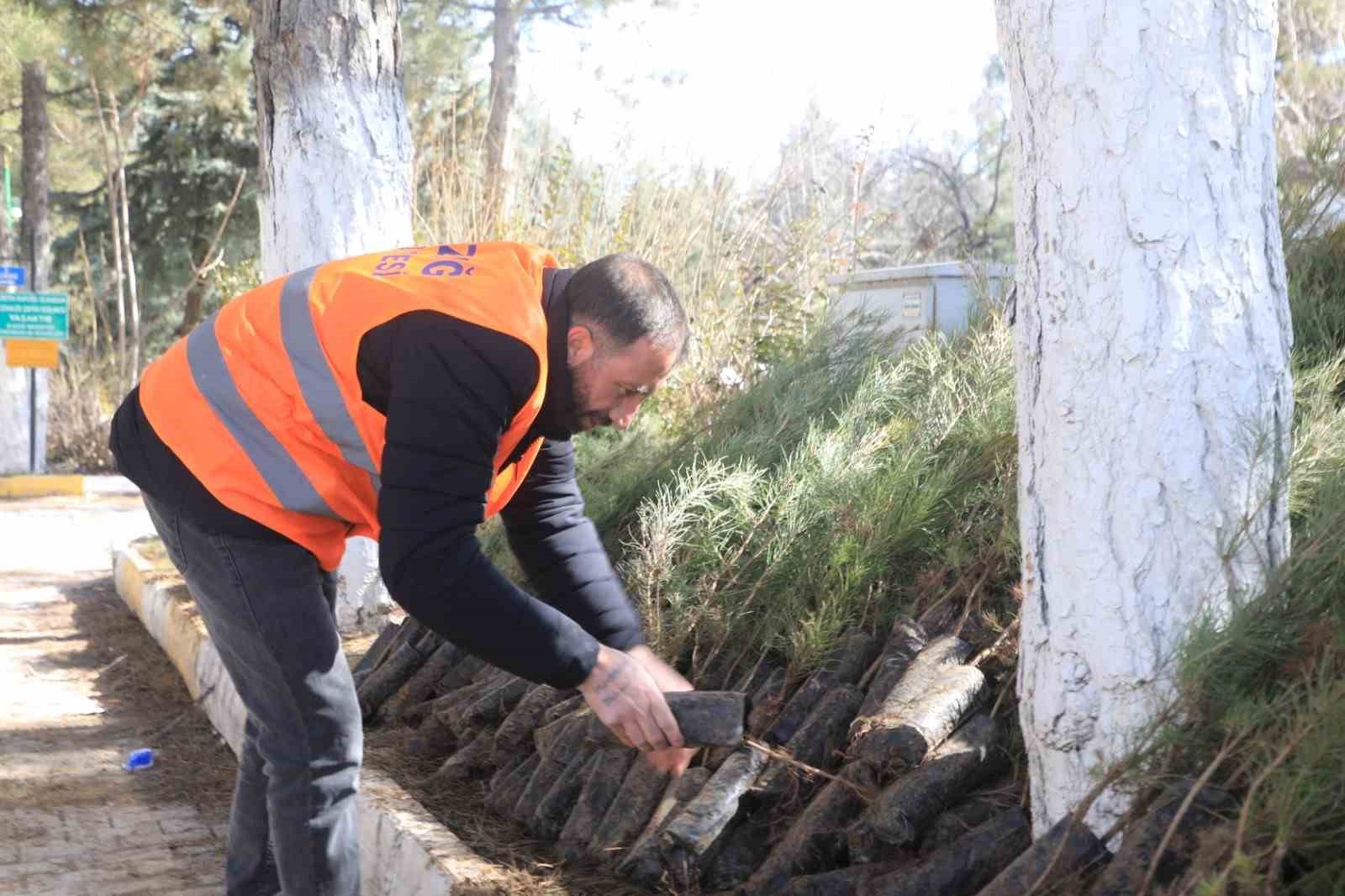 Elazığ Belediyesi&rsquo;nden vatandaşlara &uuml;cretsiz fidan desteği
