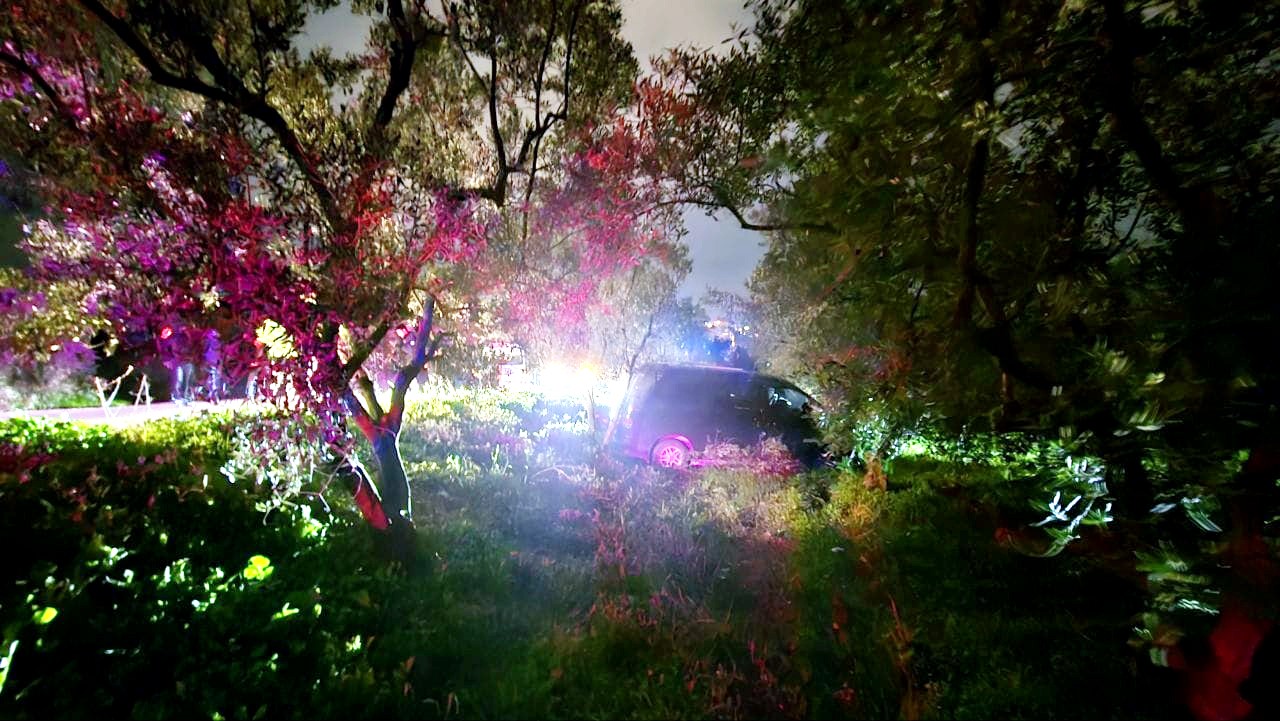 Mudanya&rsquo;da kazadan ka&ccedil;an s&uuml;r&uuml;c&uuml; zeytinliğe daldı
