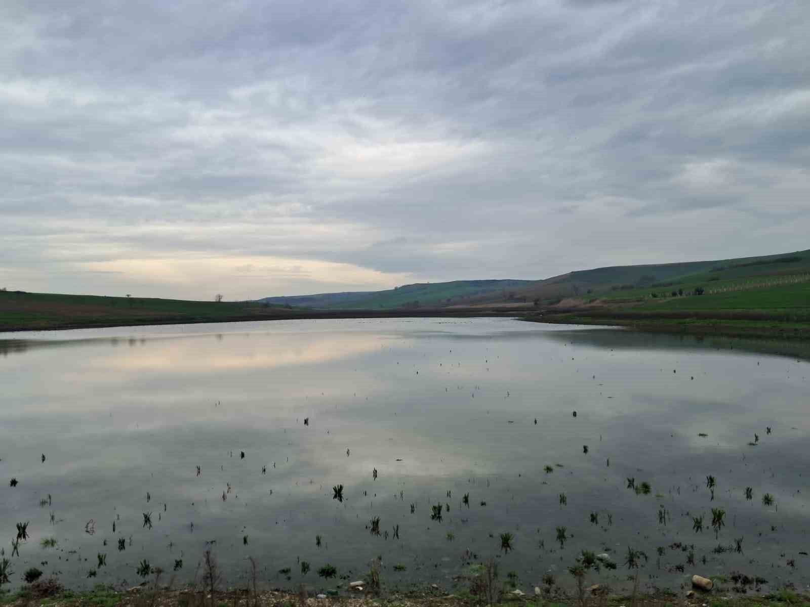 Kuruyan Yeşilsırt G&ouml;leti yağışlarla yeniden hayat buldu
