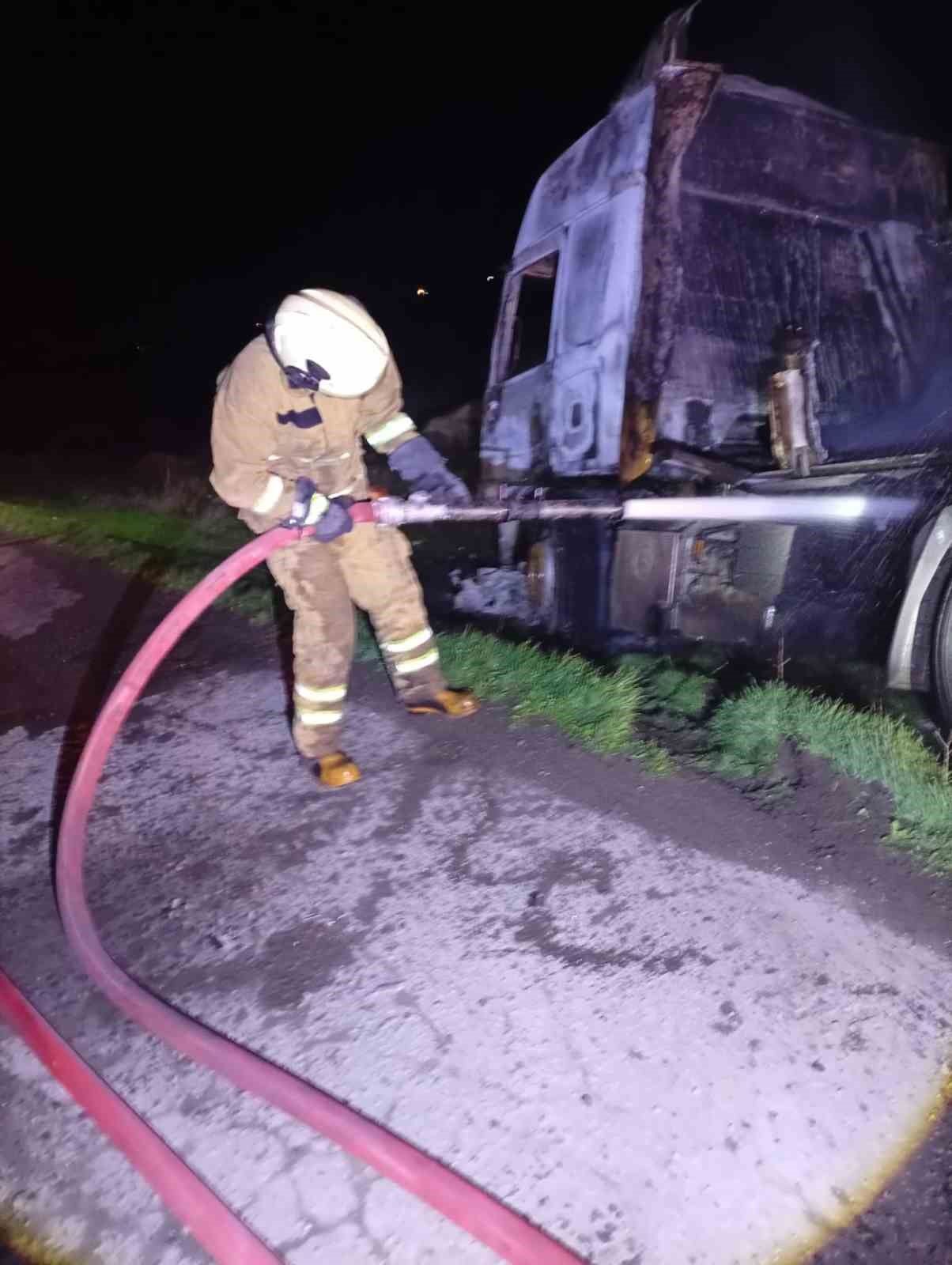 Şırnak’ta mandalina yüklü tır cayır cayır yandı