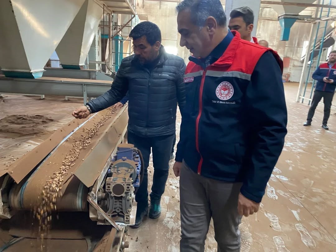 Ko&ccedil;arlı&rsquo;da &Ccedil;am Fıstığı işleme tesisindeki &ccedil;alışmalar yerinde incelendi
