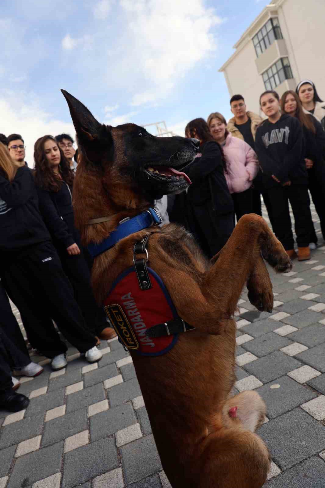 İtaat k&ouml;peği Nefes&rsquo;ten &ouml;ğrencilere nefes kesen g&ouml;steri
