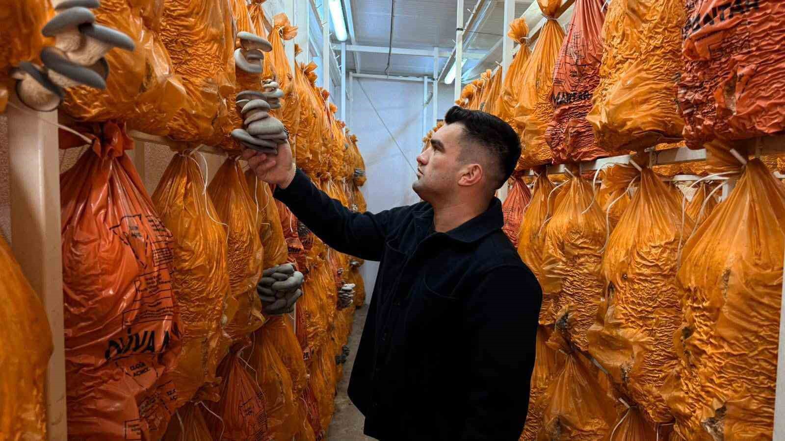 Sarıg&ouml;l&rsquo;de istiridye mantarı &uuml;retiminde &ouml;rnek buluşma
