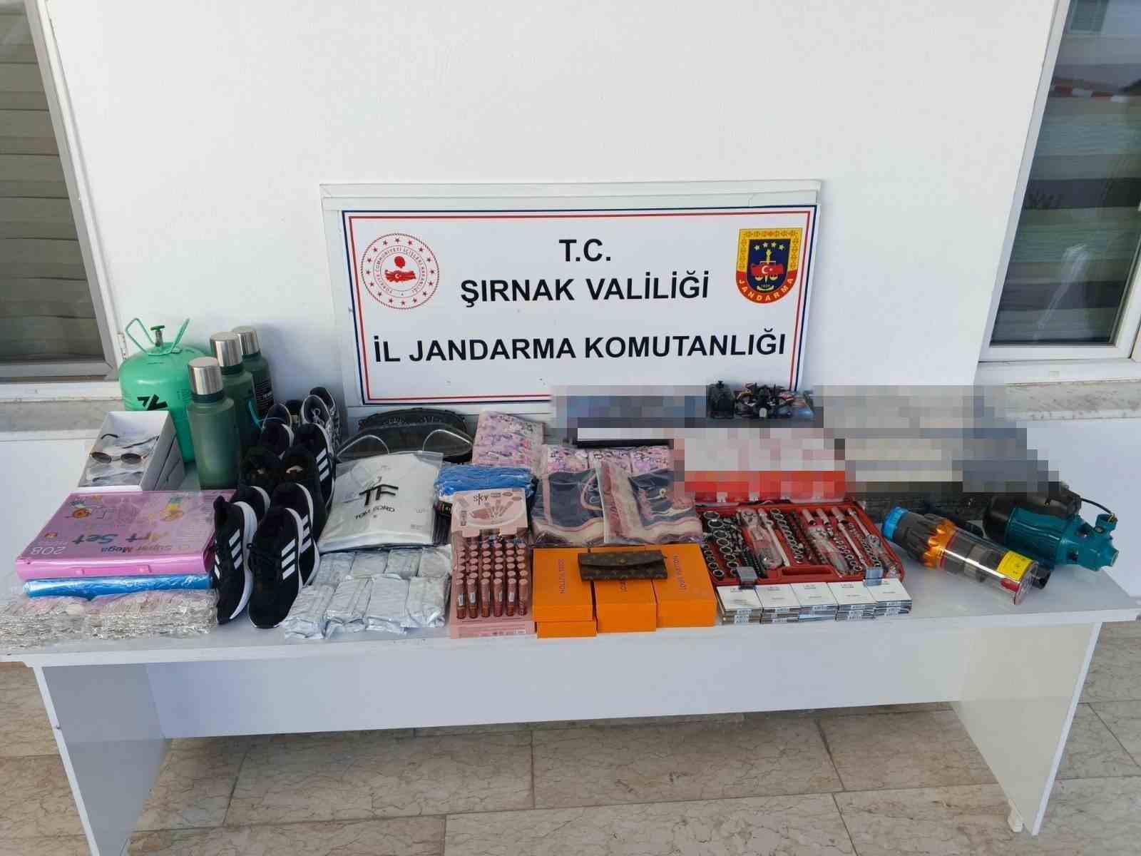 Şırnak’ta son bir haftada jandarma operasyonlarında 15 tutuklama