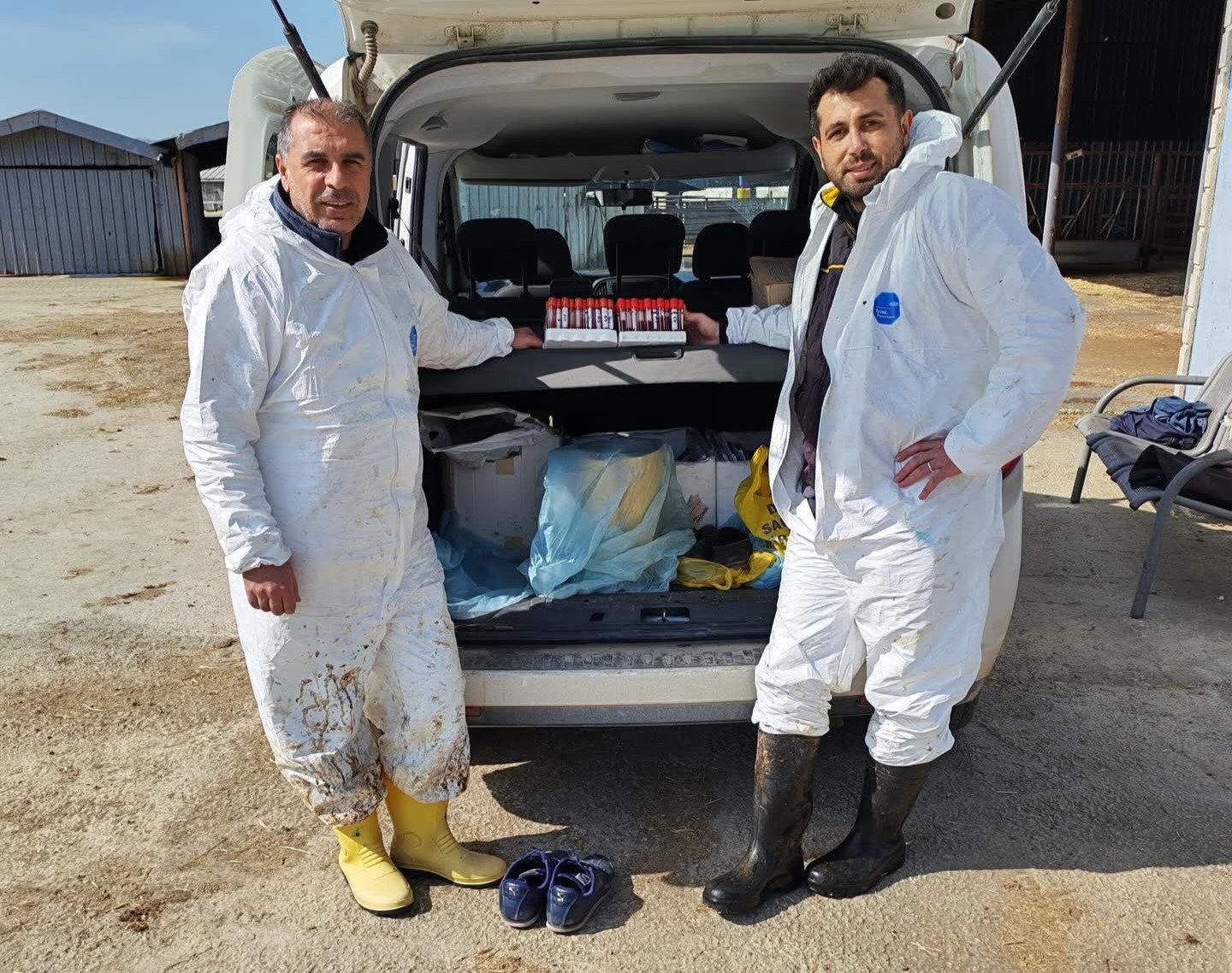 Ari işletmede tüberküloz ve brusella testi yapıldı