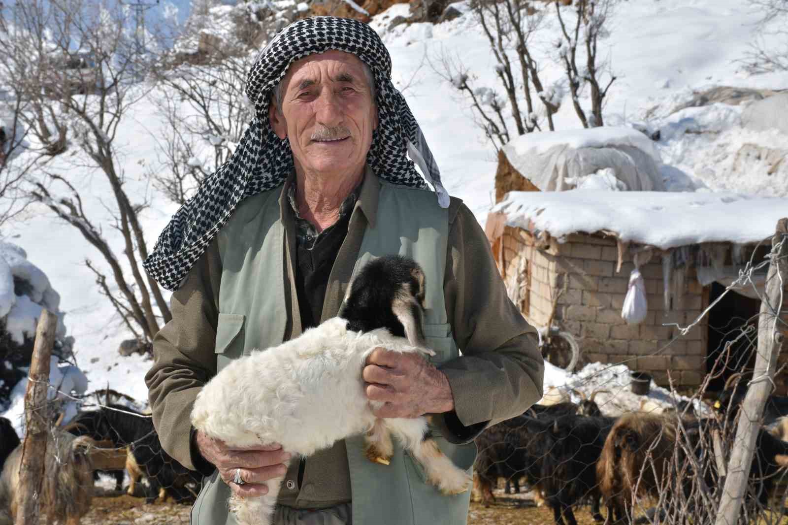 Şırnak&rsquo;ta ke&ccedil;i besiciliği gittik&ccedil;e yok oluyor
