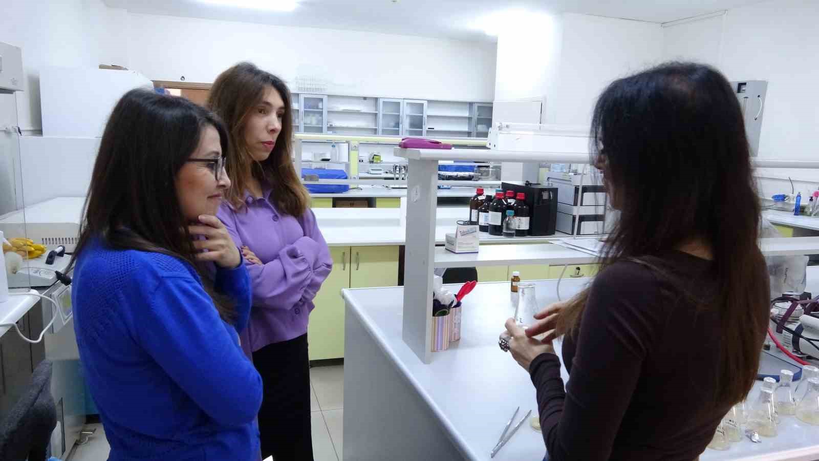 Isparta&rsquo;da endemik bitkiden doğaya zarar vermeden kanserle m&uuml;cadeleye umut olacak &uuml;retim modeli geliştiriliyor
