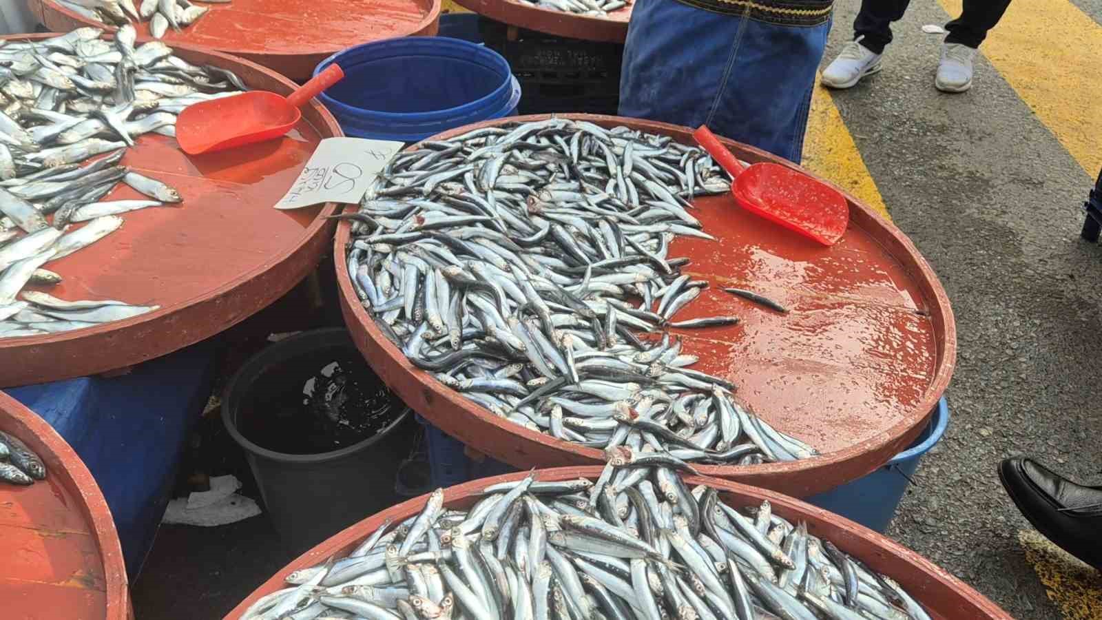 Tekirdağ&rsquo;da hamsi 50 TL&rsquo;ye d&uuml;şt&uuml;
