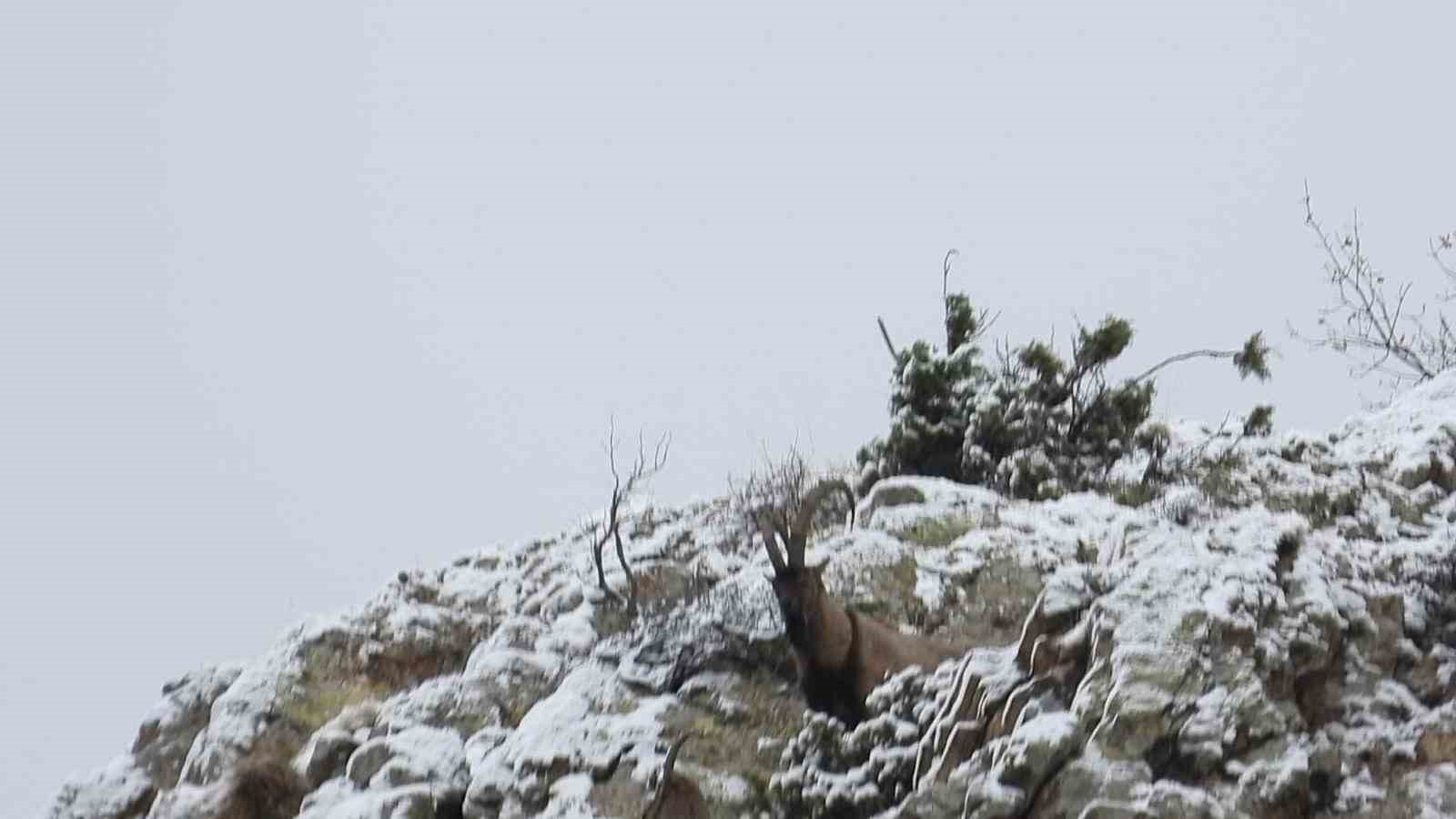 Av yasağı başladı