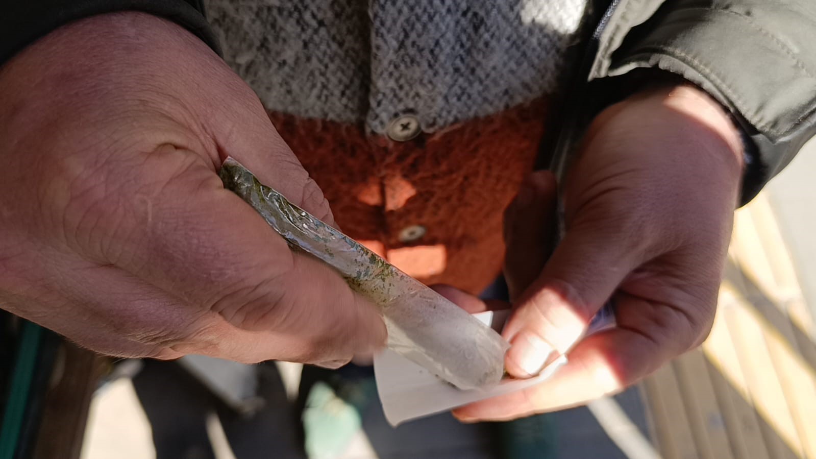 Maraş otu kullananlar dikkat: Günde 8 paket sigaraya bedel