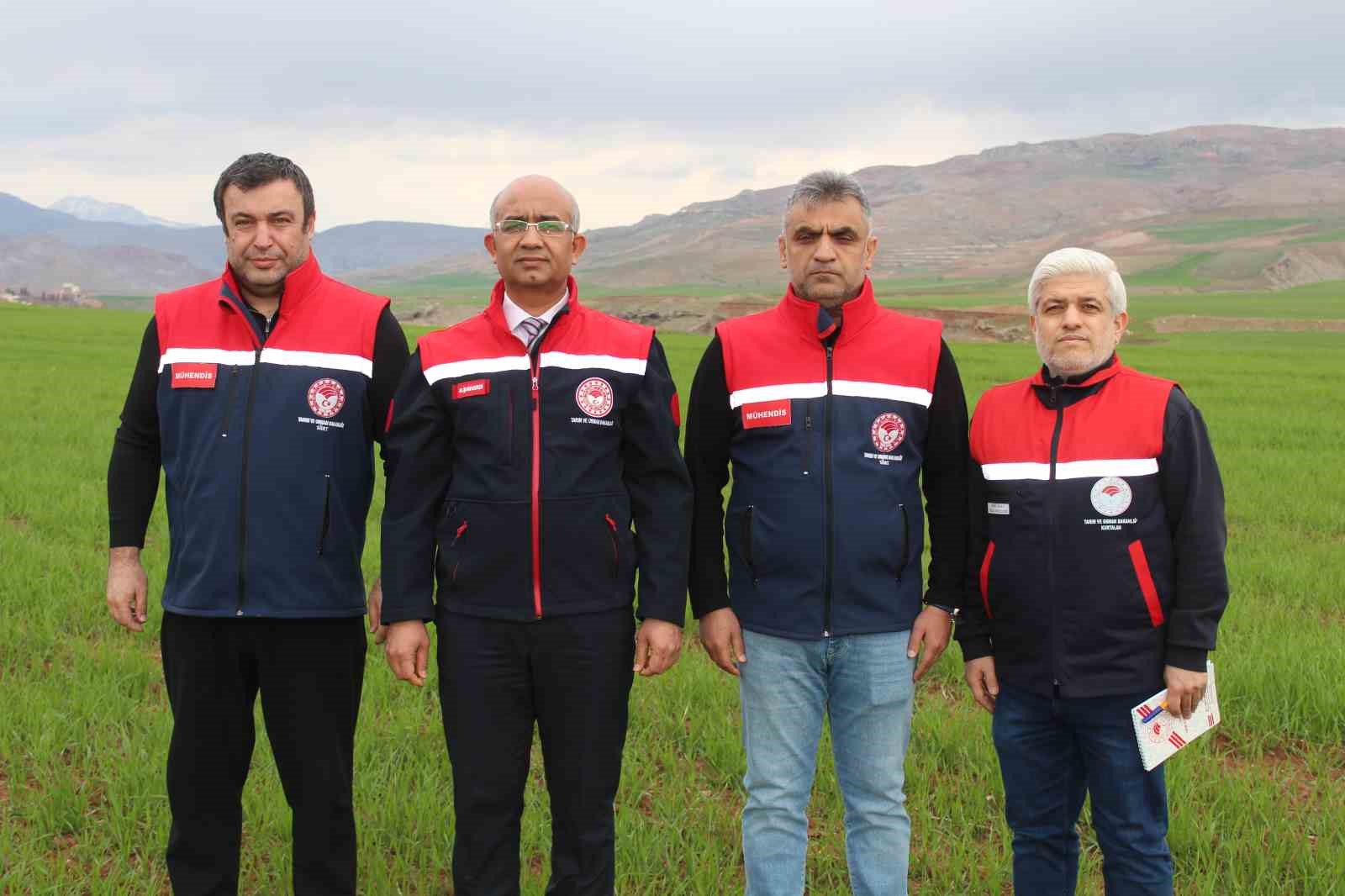 Siirt’te yağışlar yüzde 150 arttı, tarımsal hasıla beklentisi yükseldi