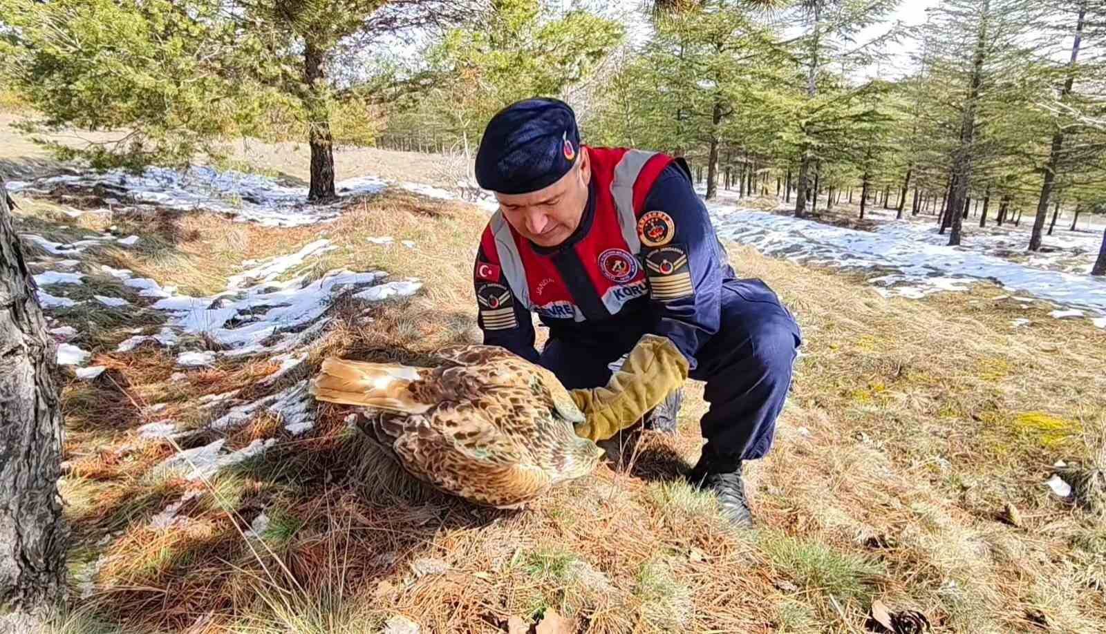 Yaralı Şahin&rsquo;e Jandarma ekiplerinden yardım eli

