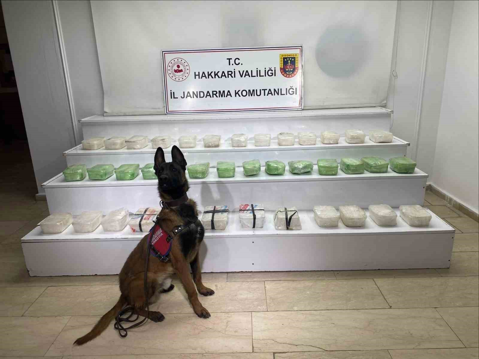 Hakkari’de 43 kilo metamfetamin ele geçirildi
