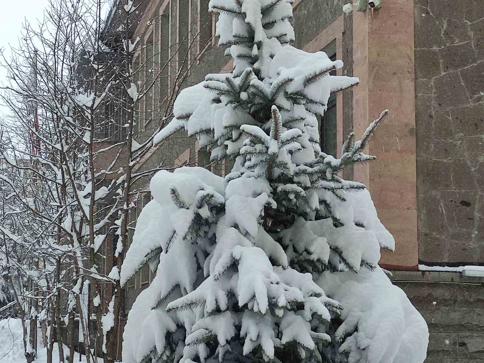 Ardahan&rsquo;da kar yağışı yeniden başladı
