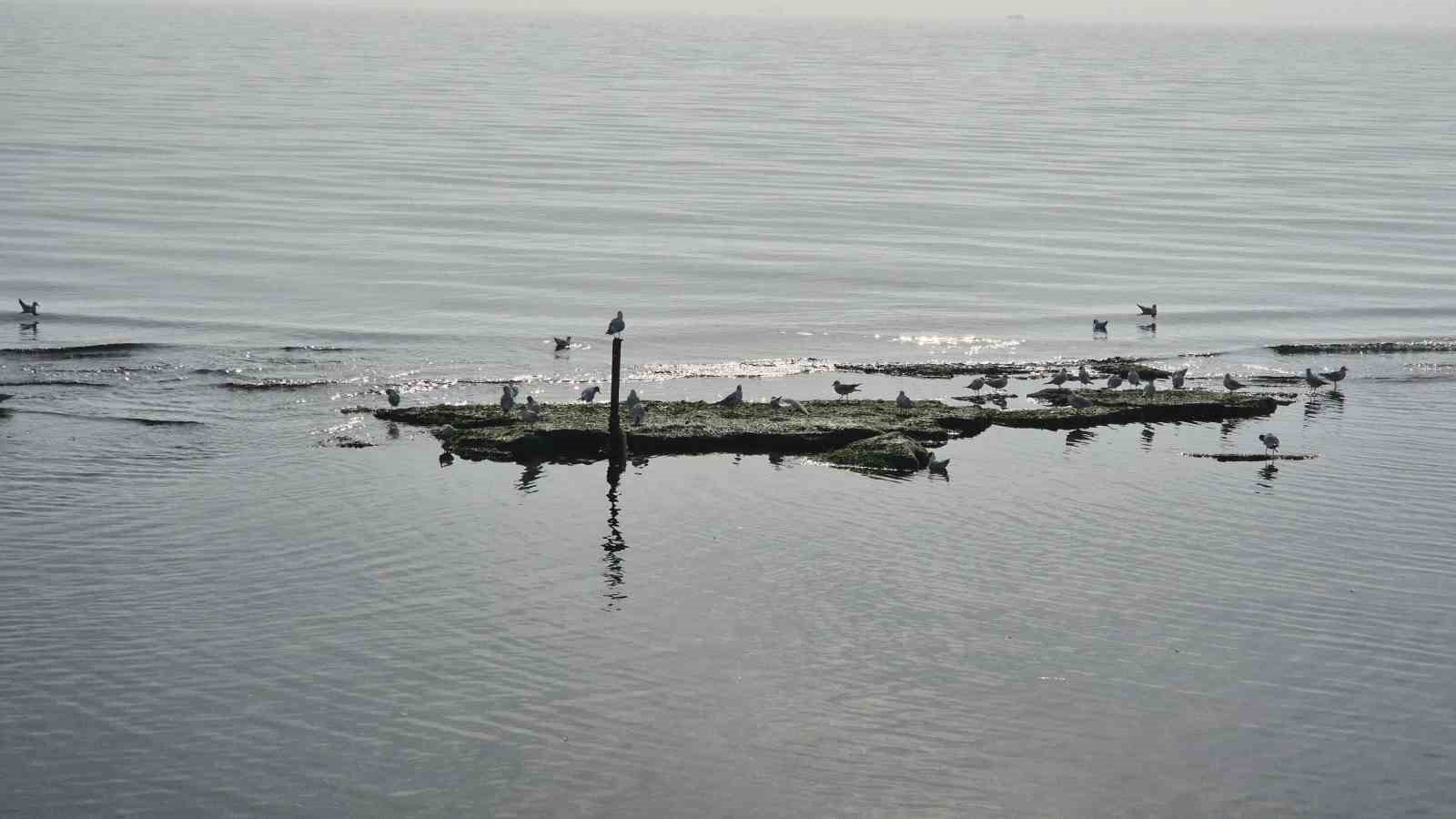 Tekirdağ deniz &ccedil;ekildi &rsquo;Kral yolu&rsquo; ortaya &ccedil;ıktı
