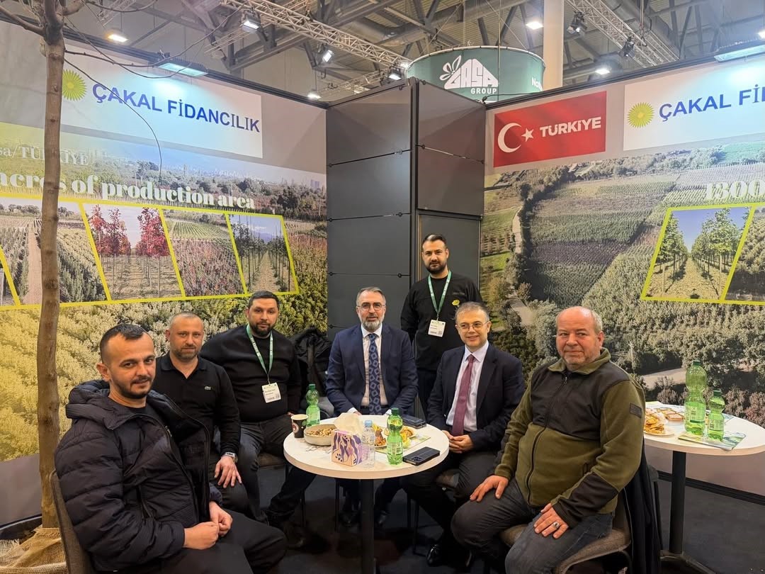 S&uuml;s bitkileri &uuml;retimi Kestel Belediyesi ile d&uuml;nya pazarına a&ccedil;ılıyor
