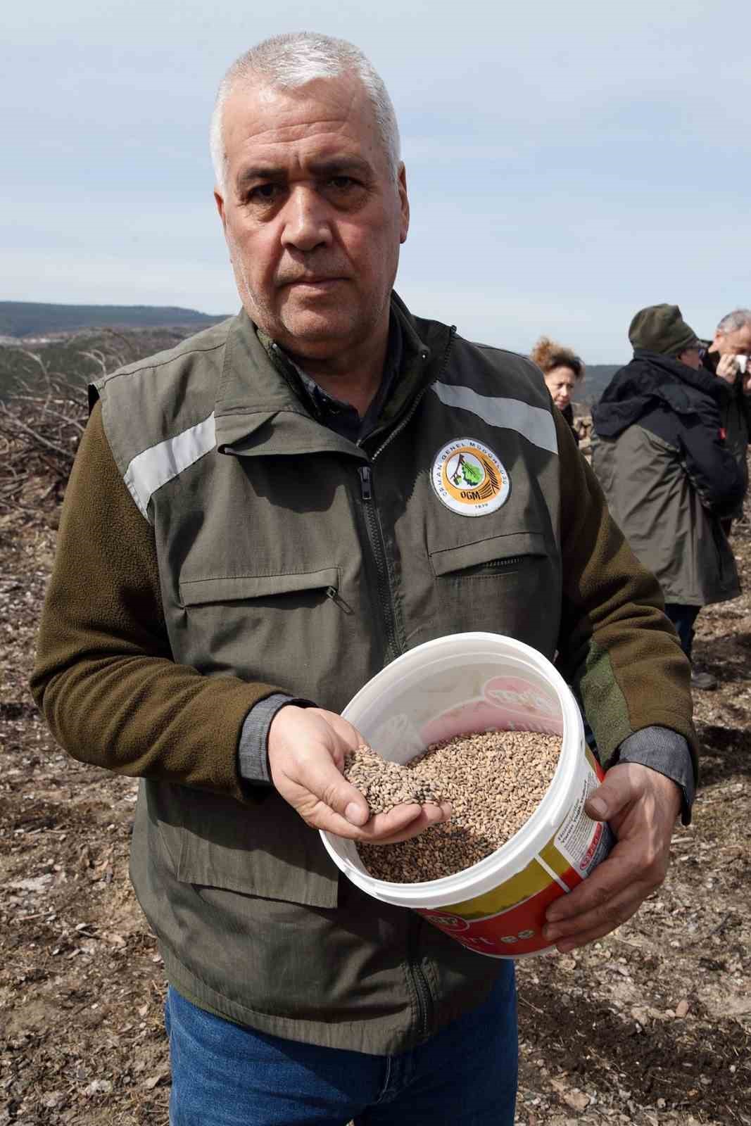 Eskişehir&rsquo;de yangın sonrası ağa&ccedil;landırma &ccedil;alışmaları başladı
