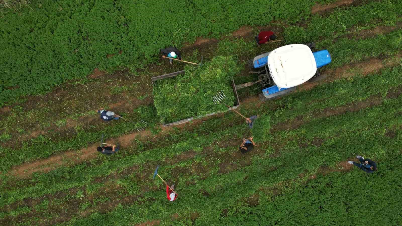 Gaziantep B&uuml;y&uuml;kşehir&rsquo;den Nizip&rsquo;e &ouml;rnek tarımsal destekler
