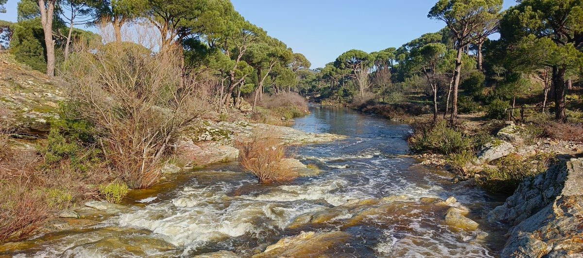 Aydın&rsquo;ın i&ccedil;me suyunu karşılayacak Sarı&ccedil;ay&rsquo;da kirlilik alarmı
