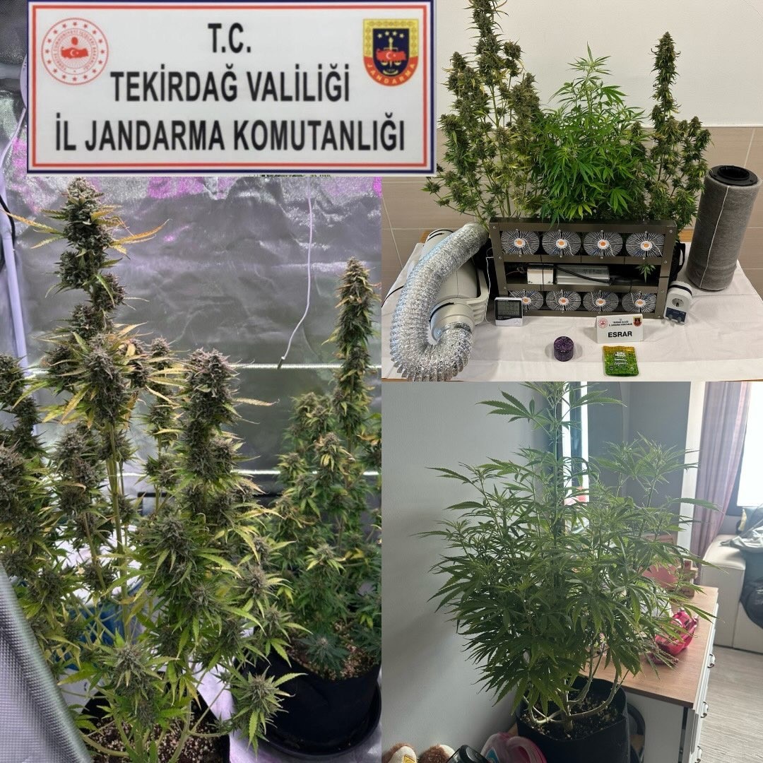 Tekirdağ&rsquo;da jandarma bir ayda 188 ş&uuml;pheliye işlem yaptı
