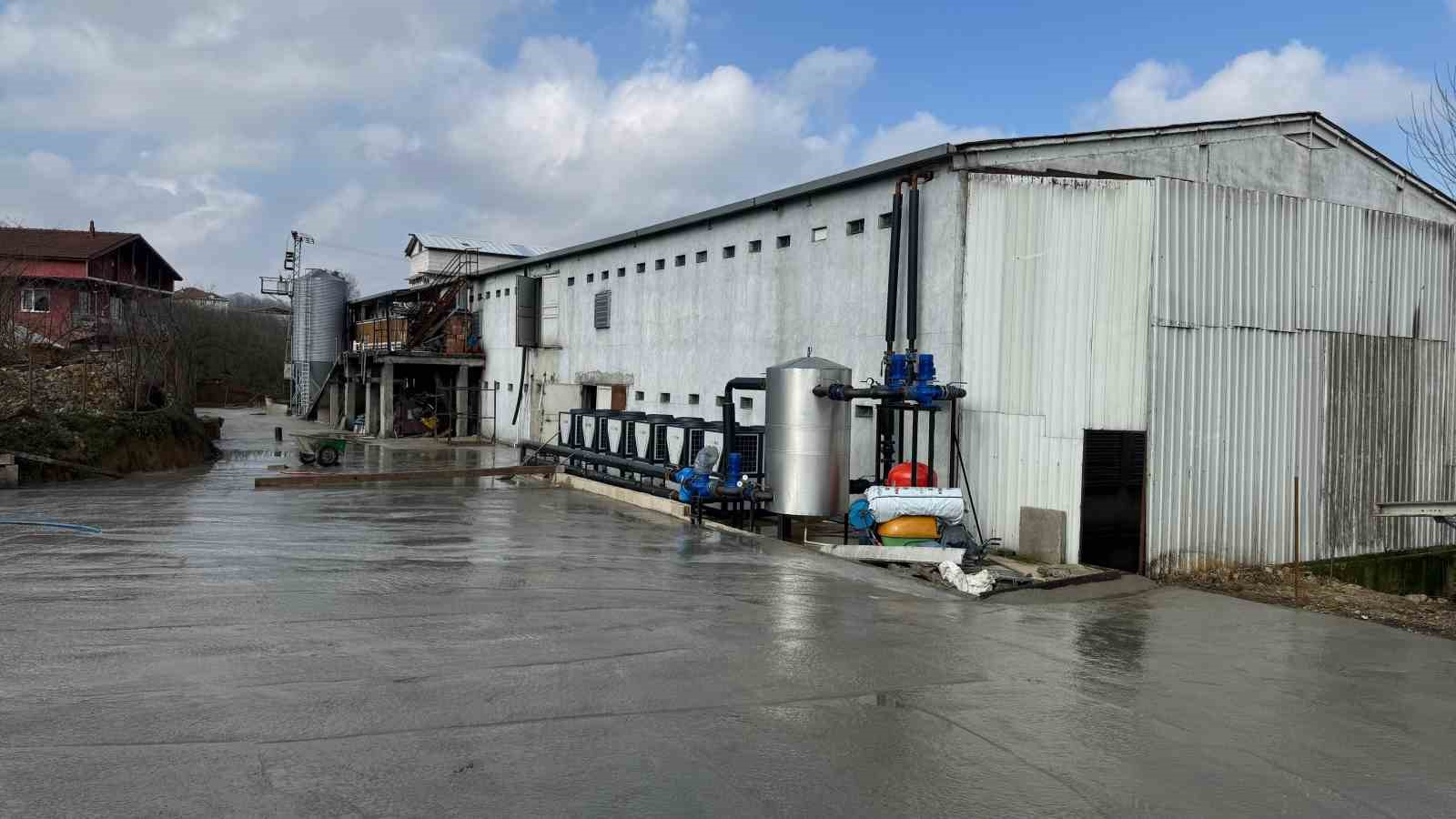 Alaplı &Ccedil;ayı&rsquo;nda telef olmuş tavukların bulunmasının ardından tavuk &ccedil;iftliği sahibi su&ccedil;lamaları reddetti
