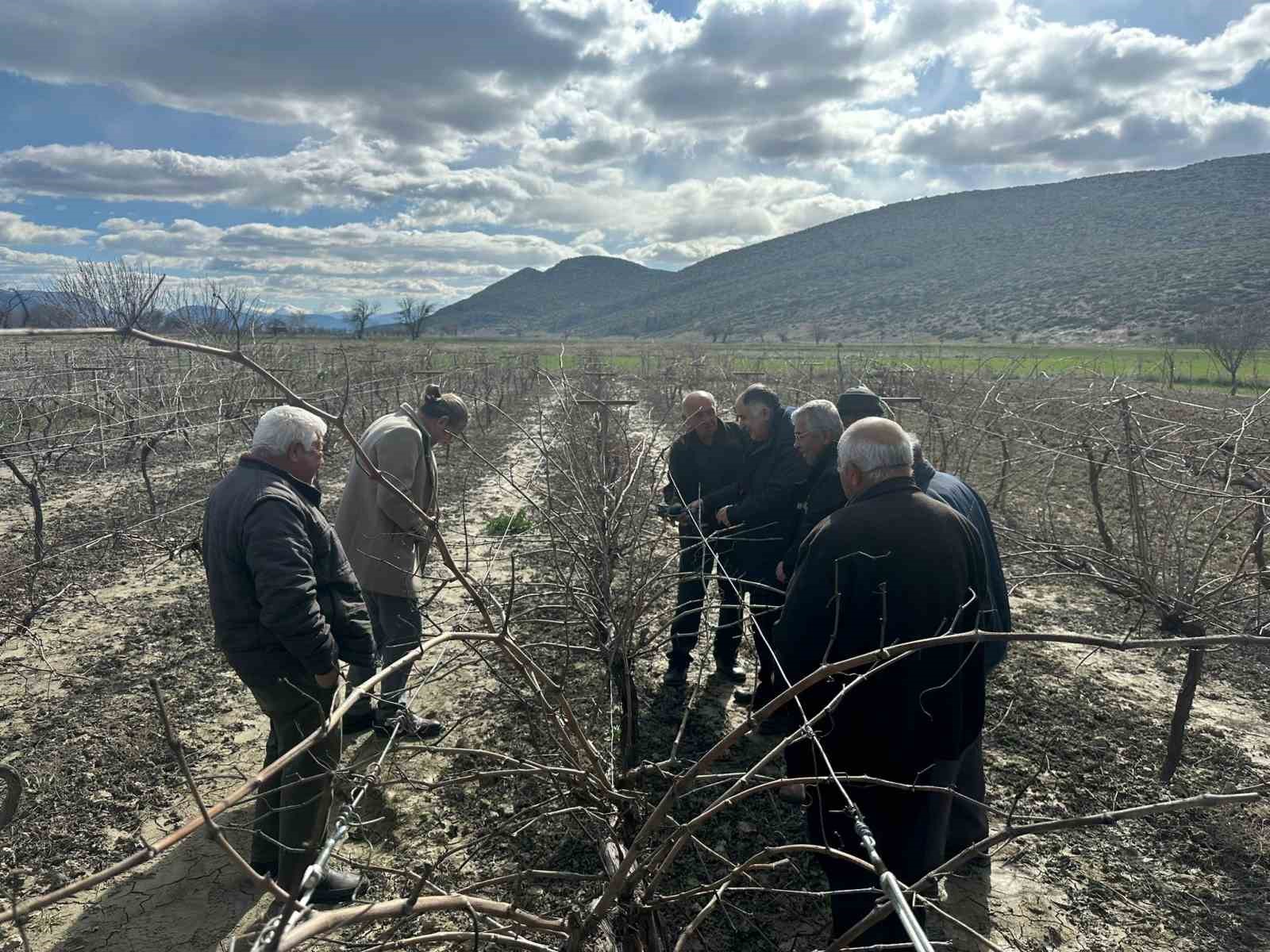 Korkuteli’nde çiftçilere budama eğitimi