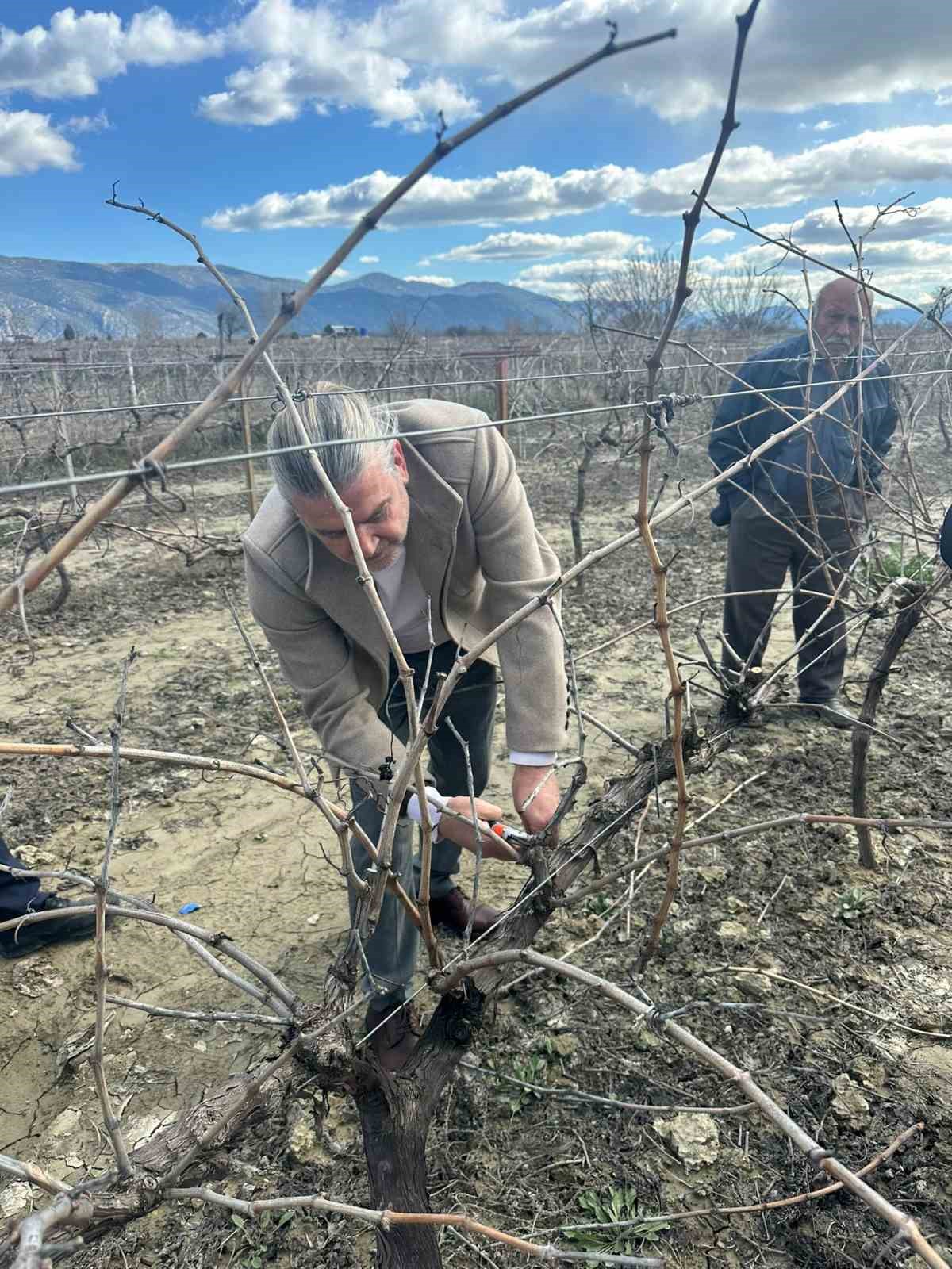 Korkuteli&rsquo;nde &ccedil;ift&ccedil;ilere budama eğitimi
