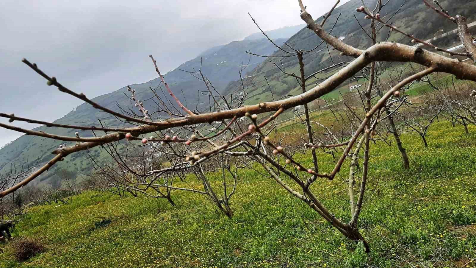 &Ccedil;ift&ccedil;ilere bordo bulamacı uyarısı
