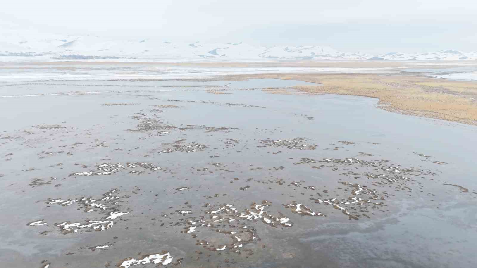 Sarısu sazlıkları ile S&uuml;phan Dağı&rsquo;nın karlı zirvesi g&ouml;z kamaştırıyor
