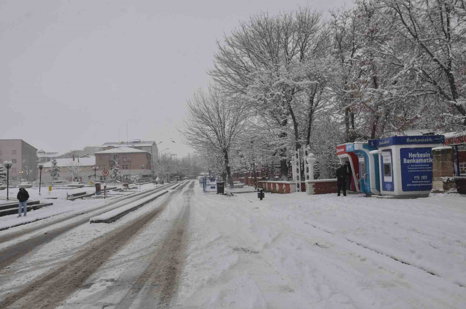 Bulanık Mart ayında beyaz b&uuml;r&uuml;nd&uuml;
