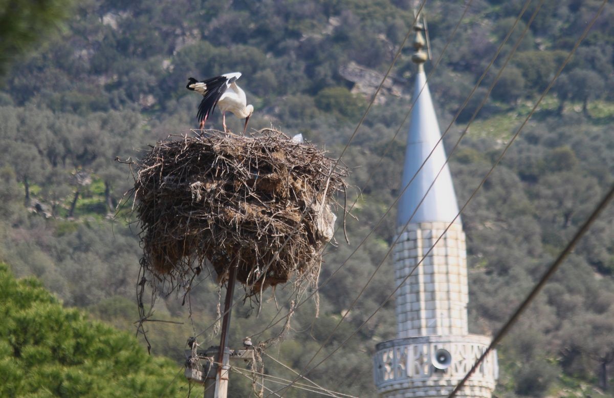 Leyleği ilk g&ouml;rene 1 &ccedil;uval un kampanyası tamamlandı

