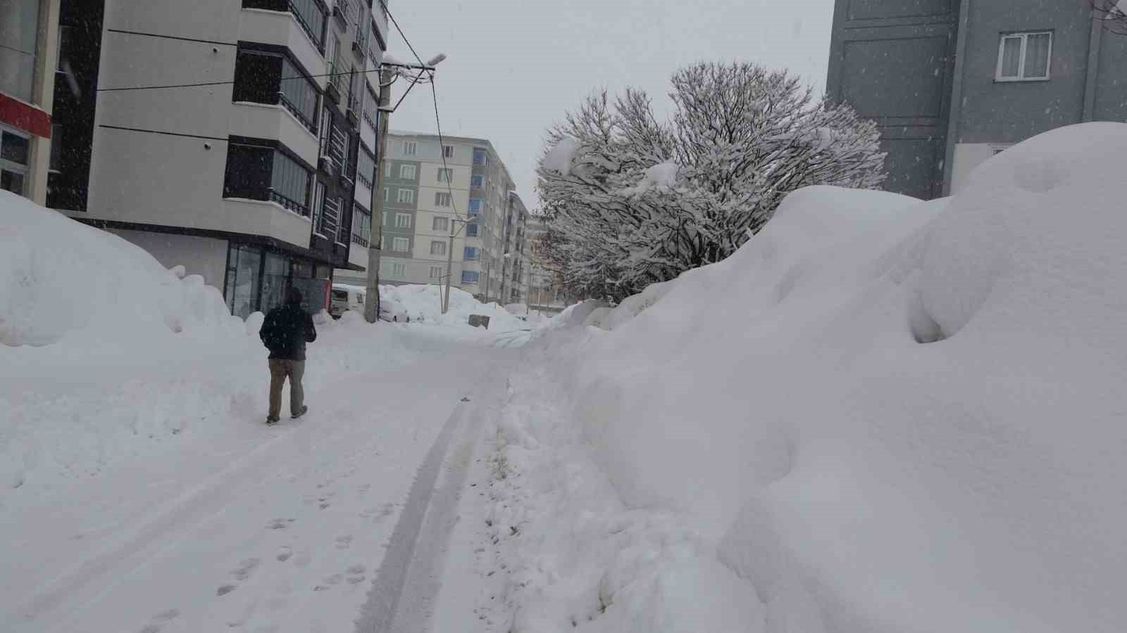 Bitlis&rsquo;te mart karı 288 k&ouml;y yolu ulaşıma kapattı

