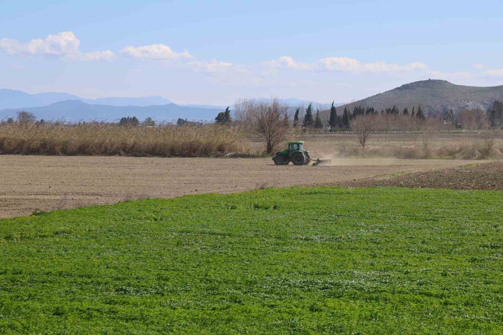 &Ccedil;ukurova&rsquo;nın bereketli toprakları mısır ve ay&ccedil;i&ccedil;eği tohumları ile buluştu
