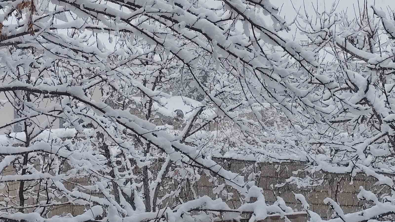 Erciş’te mart ayında kar yağışı