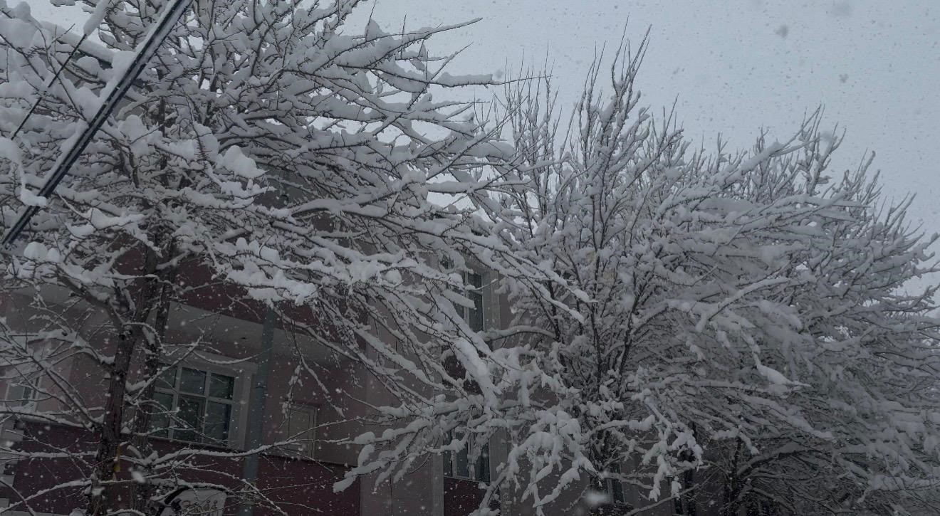 Patnos&rsquo;ta baharı beklerken 40 santimetre kar yağdı
