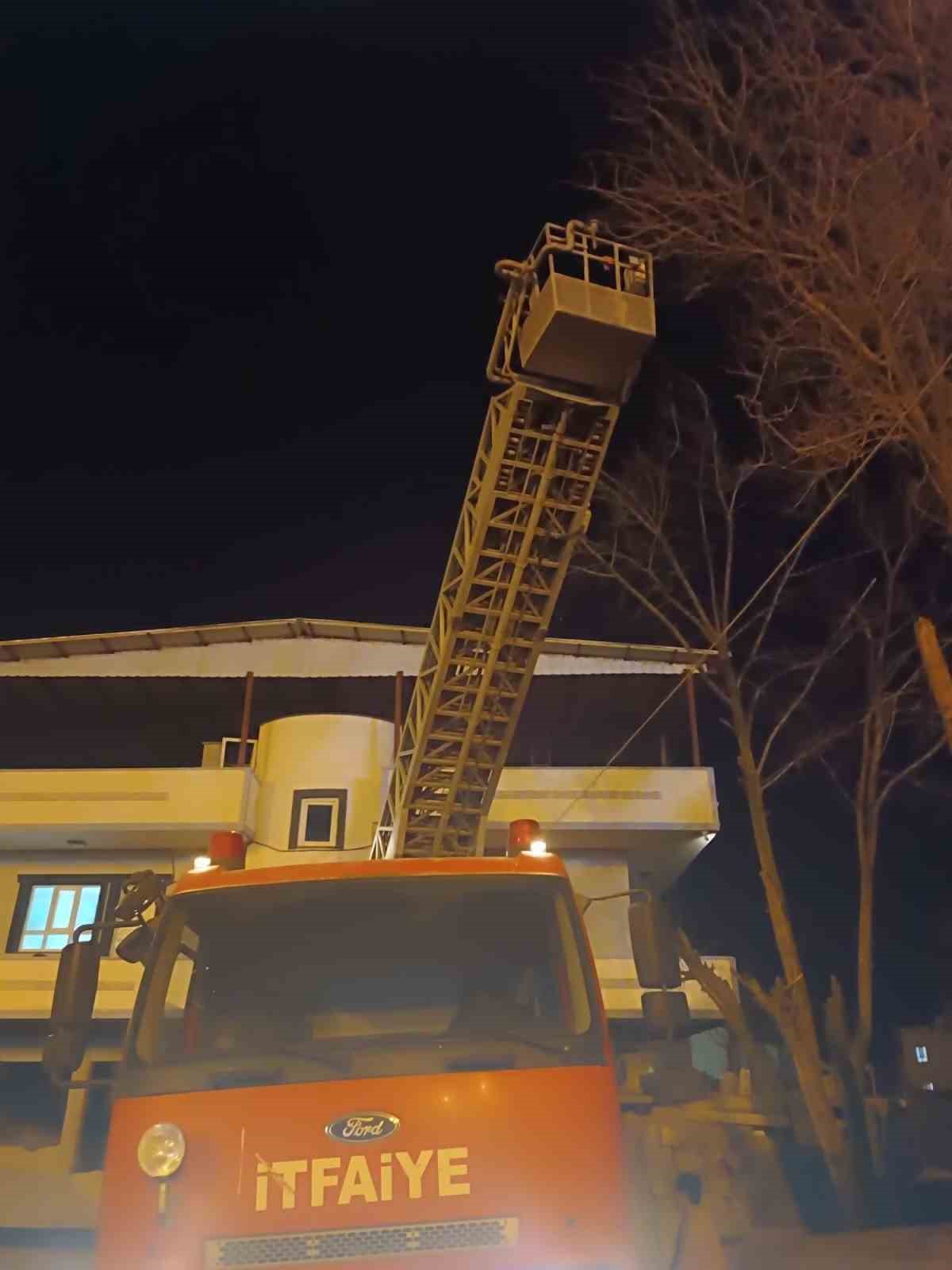 Siirt&rsquo;te ağa&ccedil;ta mahsur kalan kedi itfaiye ekiplerince kurtarıldı
